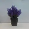 Lavender (purple details Picture